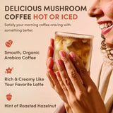 Mushroom Coffee M32H