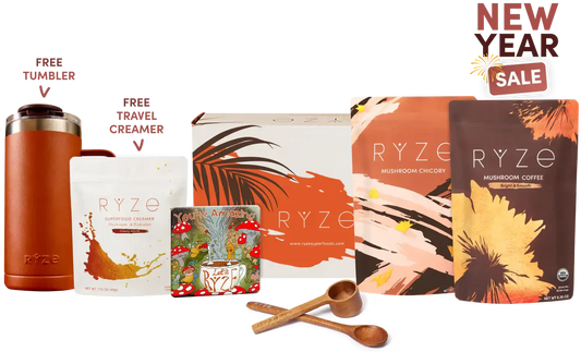 Lasting Energy Bundle M12C